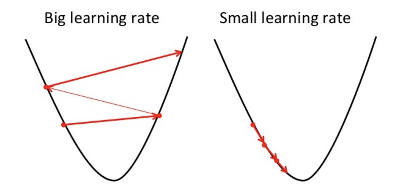 Learning Rate in Machine Learning